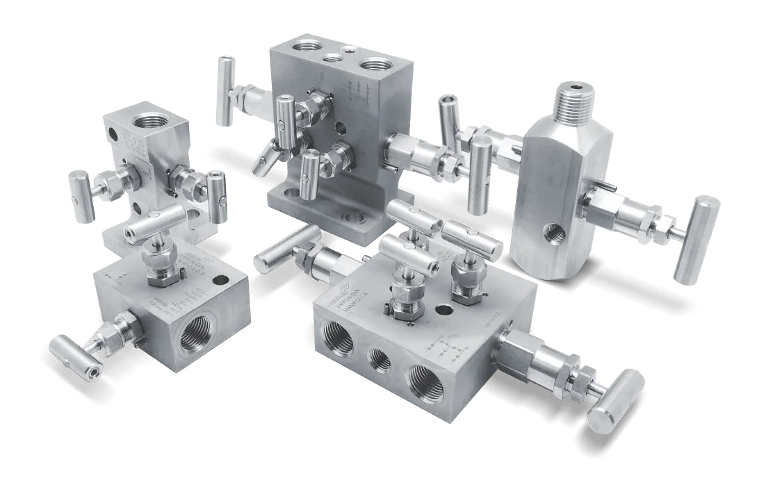 Manifold, Gauge & Block-and-Bleed Valves