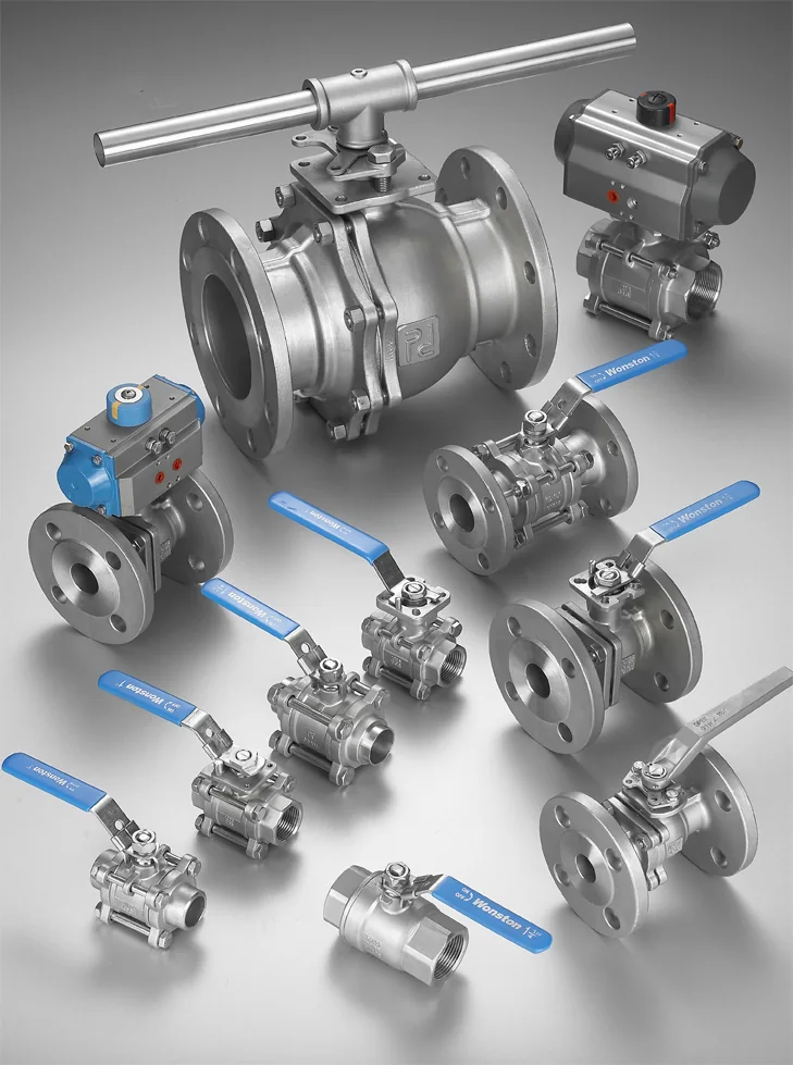 Stainless steel flanged and manual ball valves